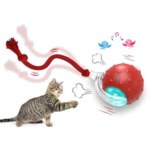 Interaktiver Katzenspielzeugball Super Drive Cat Rolling Ball
